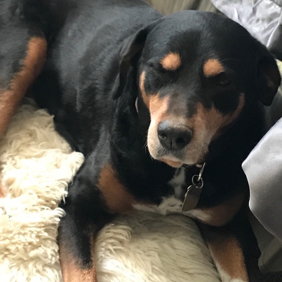 There is a better world ahead! - Picture 4 of 10